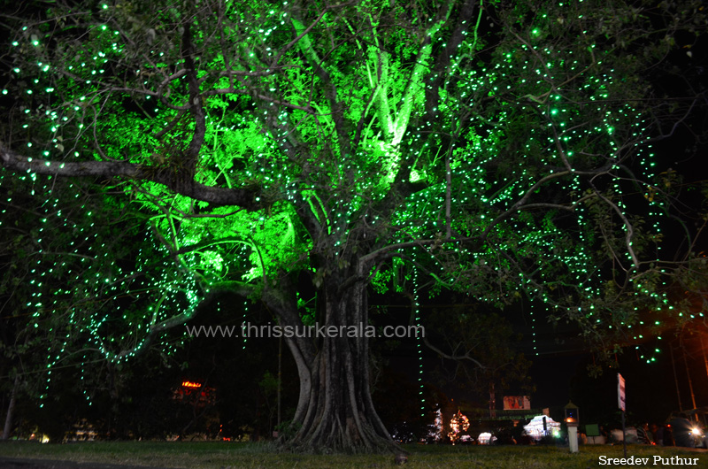 thrissur-pooram (4)